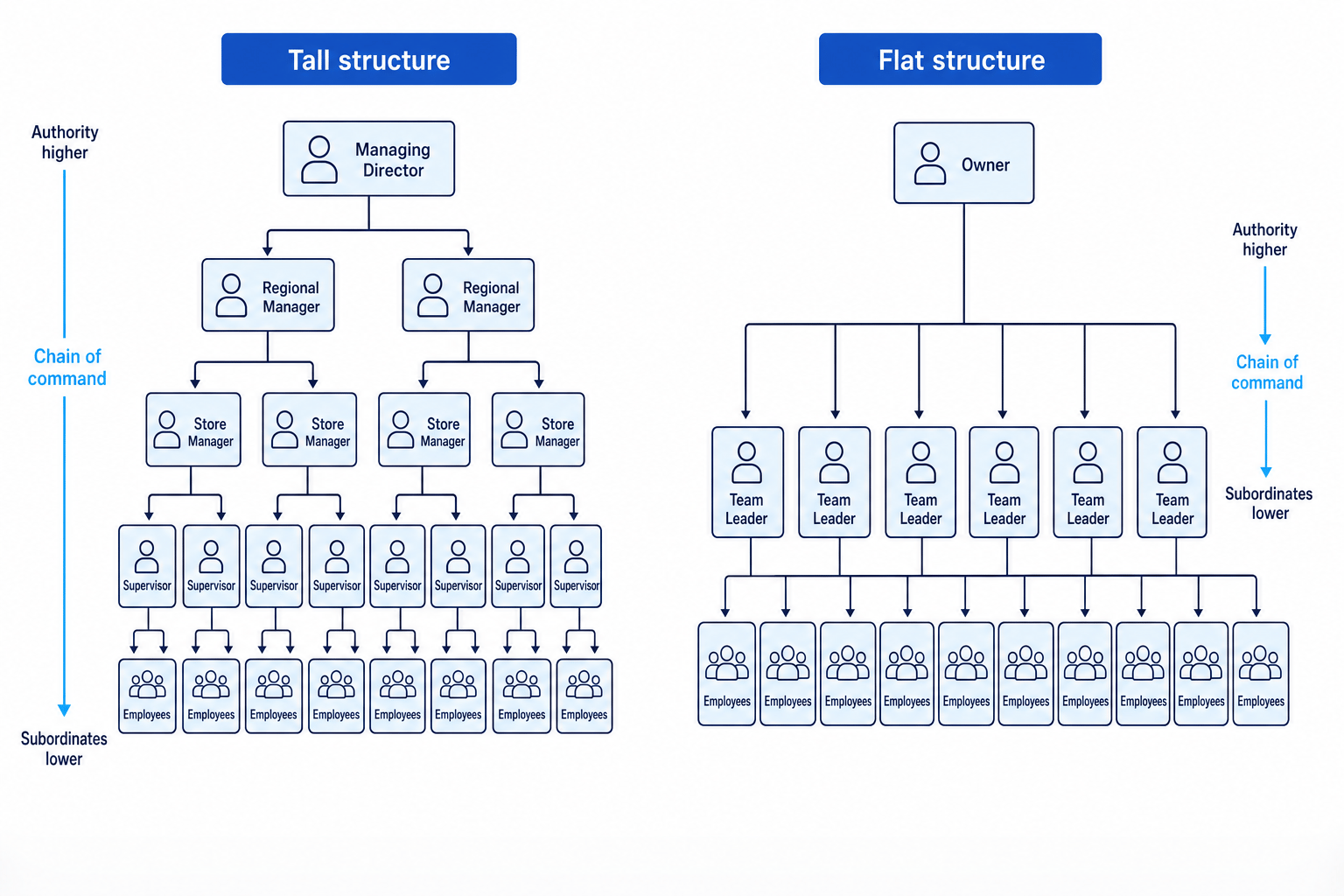 Side by side organisation charts showing a tall structure with many layers and a flat structure with fewer layers, with higher authority at the top, subordinates lower down and different spans of control shown