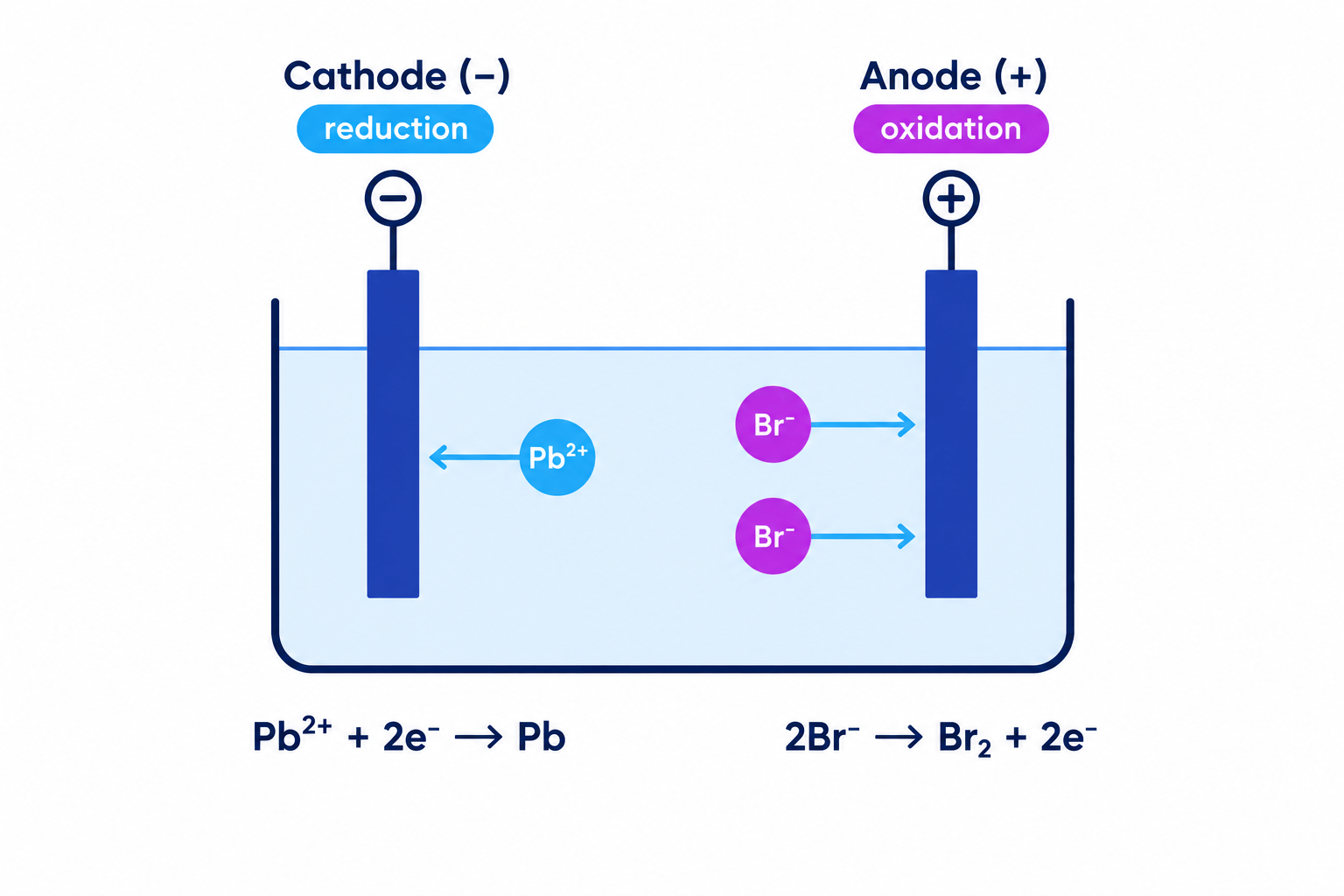Electrolysis cell with positive lead ions moving to the negative cathode and negative bromide ions moving to the positive anode, with an electron-gain equation at the cathode and an electron-loss equation at the anode