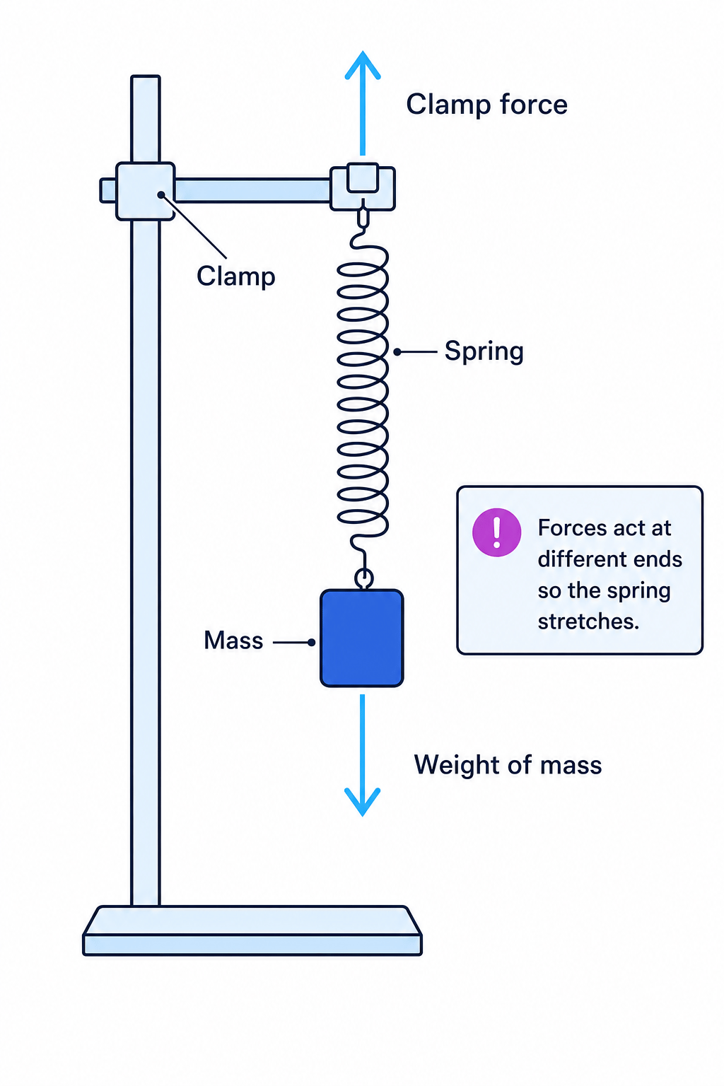 Free-body diagram of a vertical spring clamped at the top with a mass hanging below, showing upward clamp force and downward weight