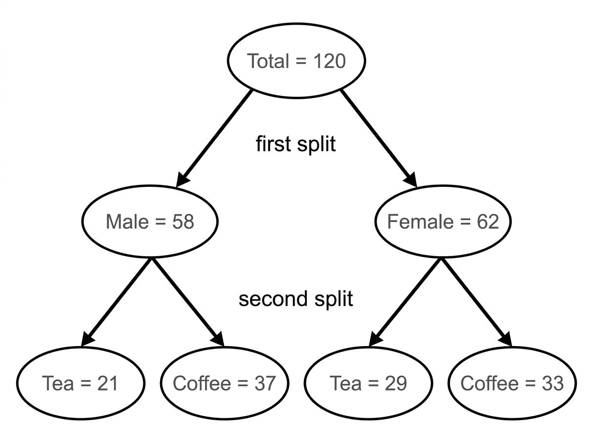 Frequency tree with total 120 splitting into male 58 and female 62, then tea and coffee totals on each branch