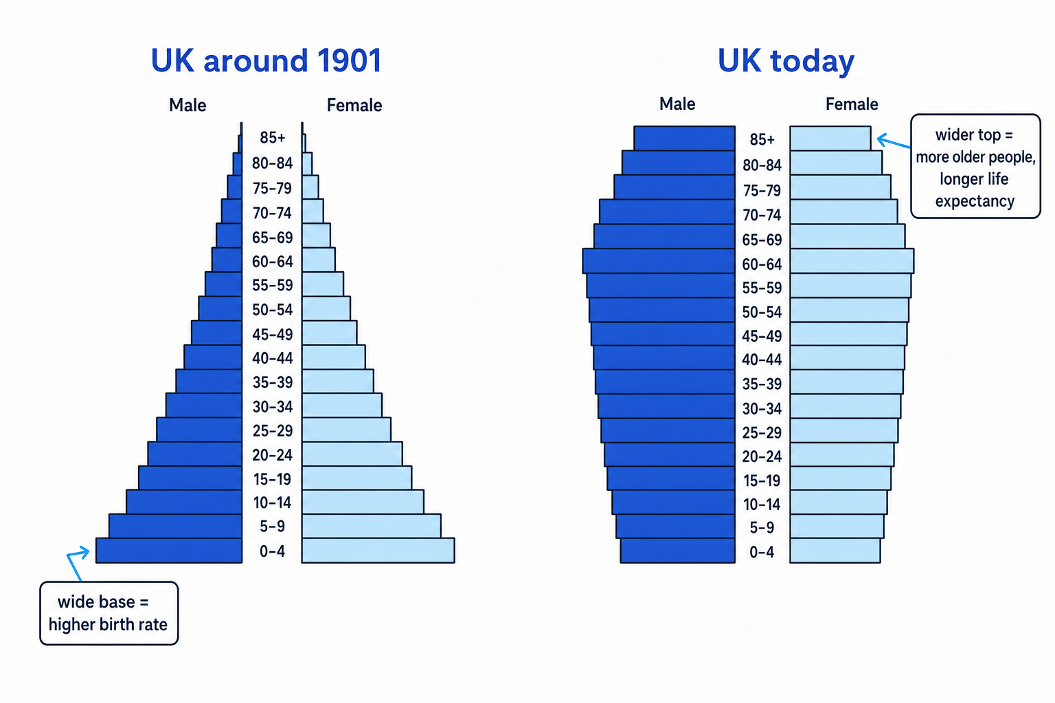Population pyramids comparing UK around 1901 and UK today, showing a wide base in 1901 and a wider top today