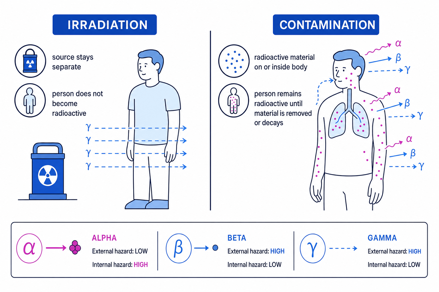 Side-by-side comparison of irradiation from a sealed source and contamination by radioactive dust on skin and in lungs