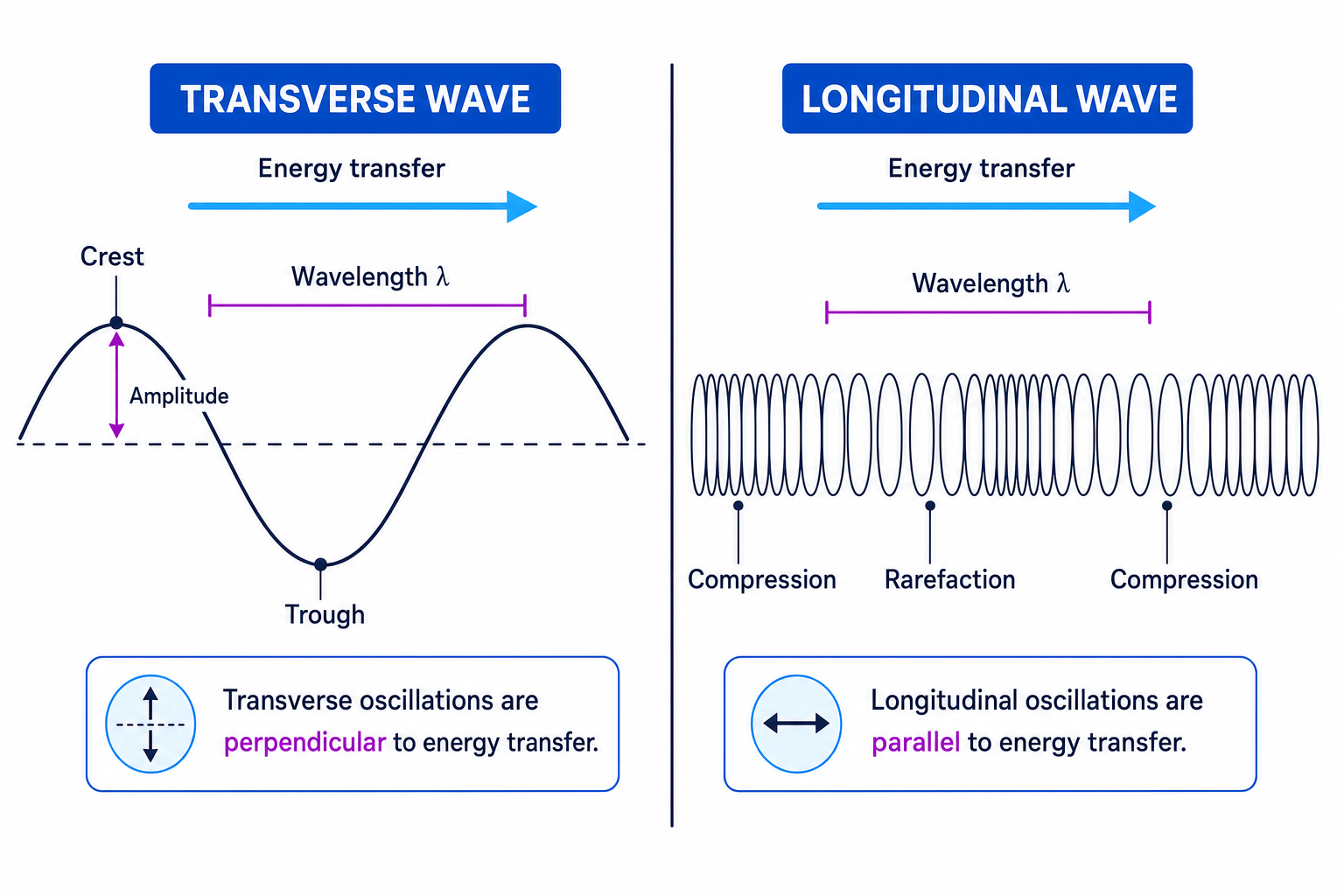 Comparison of transverse and longitudinal waves with energy transfer, amplitude, wavelength, crest, trough, compression and rarefaction labelled