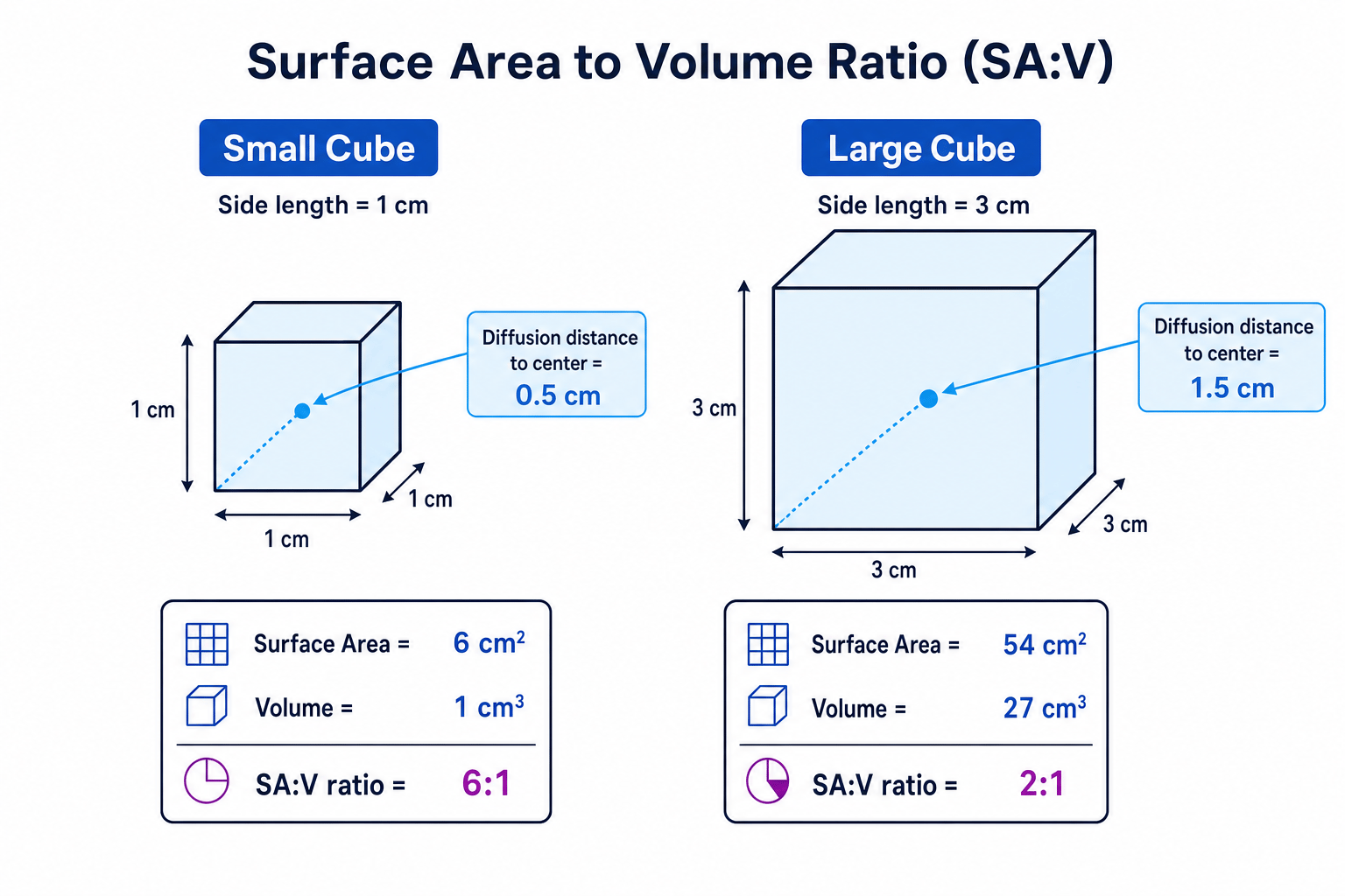 Surface area to volume ratio of cubes