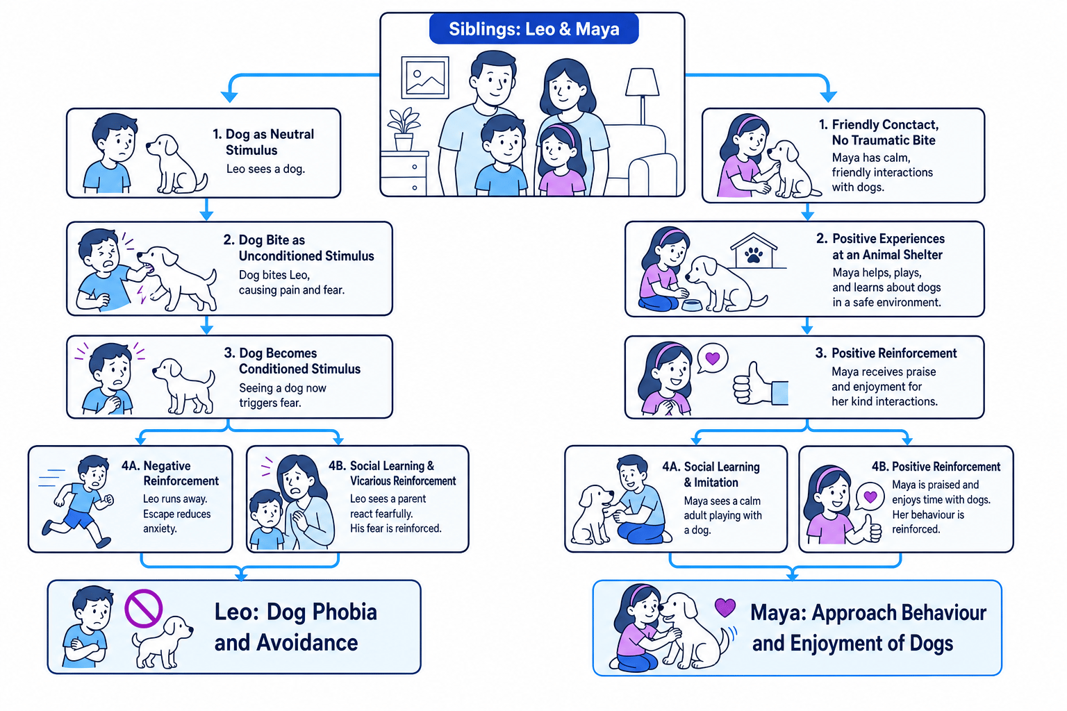 Flowchart comparing siblings Leo and Maya, showing how a dog bite, avoidance, and fearful models lead to Leo's dog phobia, while friendly contact, praise, and calm models lead to Maya's enjoyment of dogs