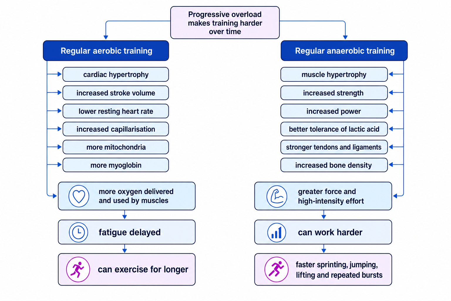 Flow diagram comparing aerobic and anaerobic training adaptations and showing how they lead to longer duration or higher intensity