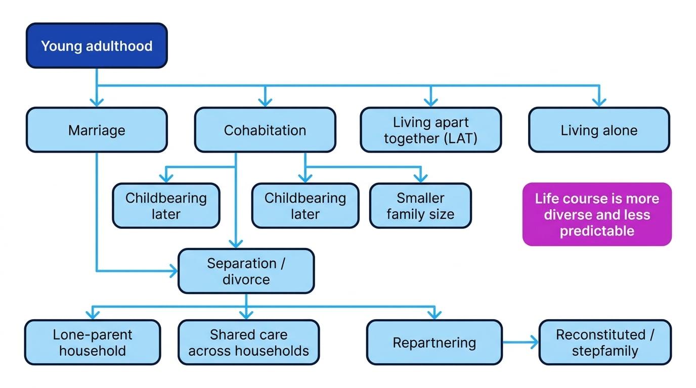 Flowchart showing different pathways through family life