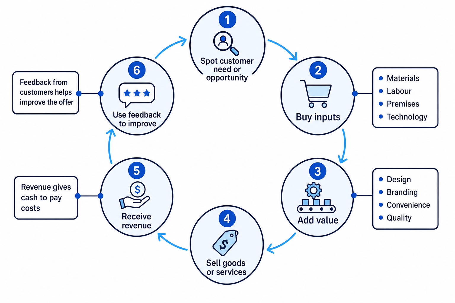 Business activity cycle showing six linked stages: spot customer need or opportunity, buy inputs, add value, sell goods or services, receive revenue, and use feedback to improve