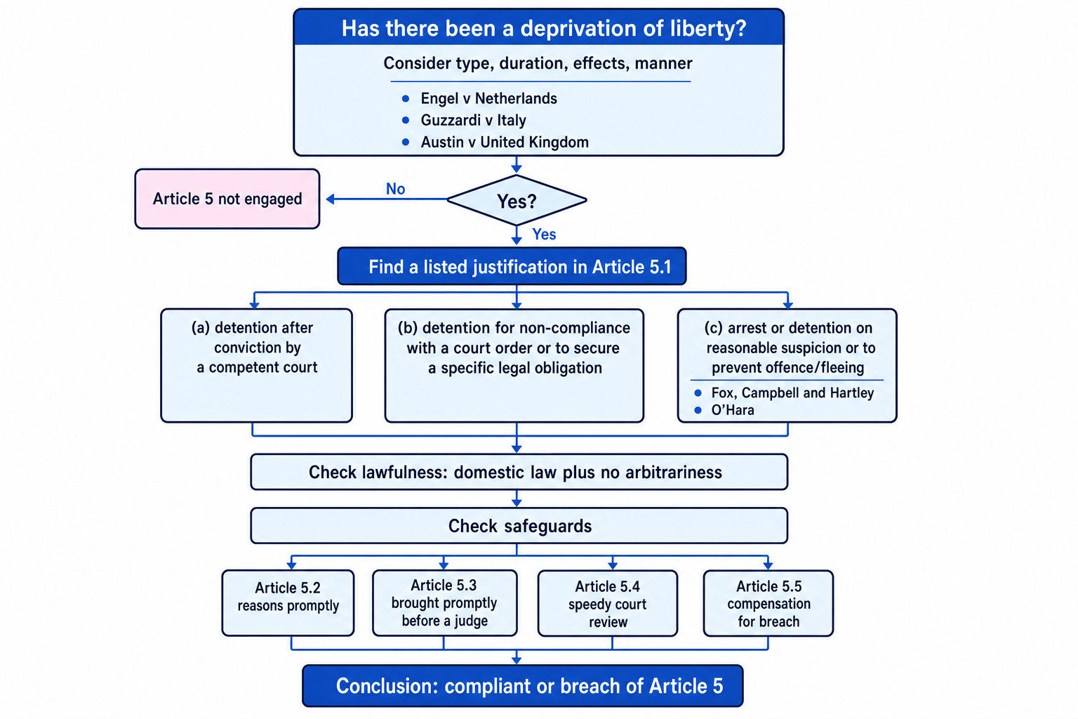 Flowchart showing Article 5 analysis from deprivation of liberty to justification, lawfulness, and safeguards