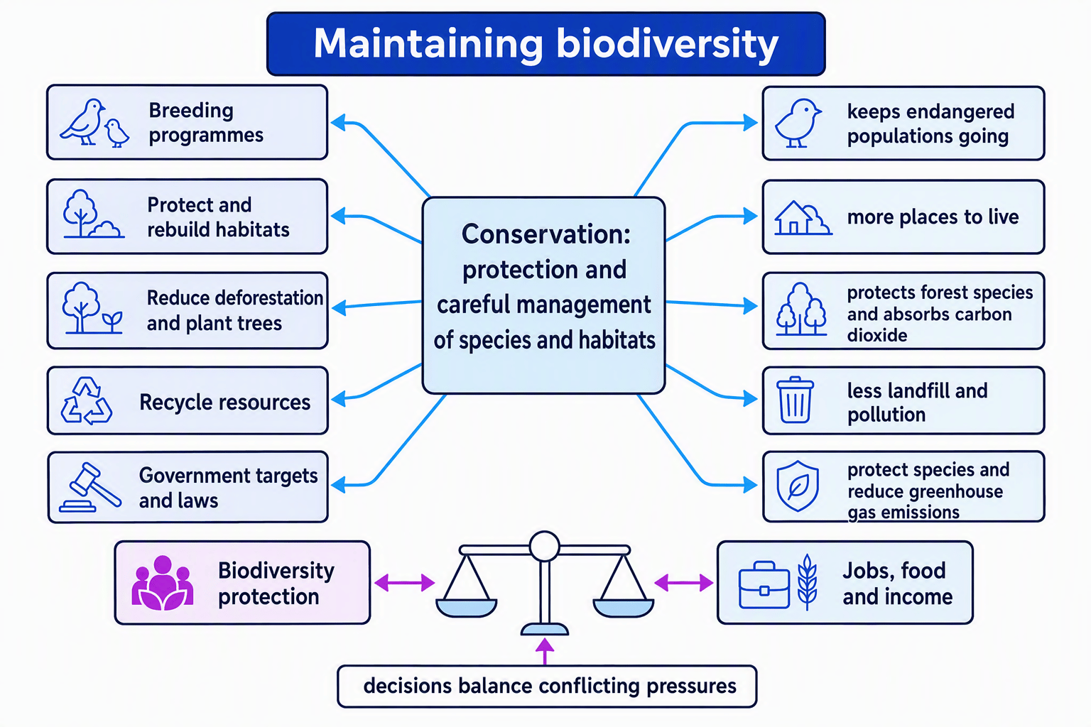 Flowchart showing conservation methods, their biodiversity benefits, and the need to balance biodiversity protection with jobs, food and income