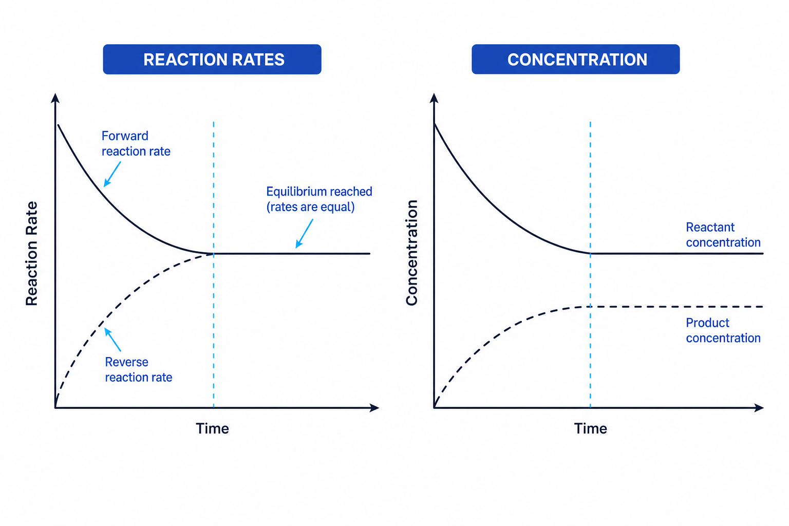 Two-panel line graph illustrating chemical equilibrium