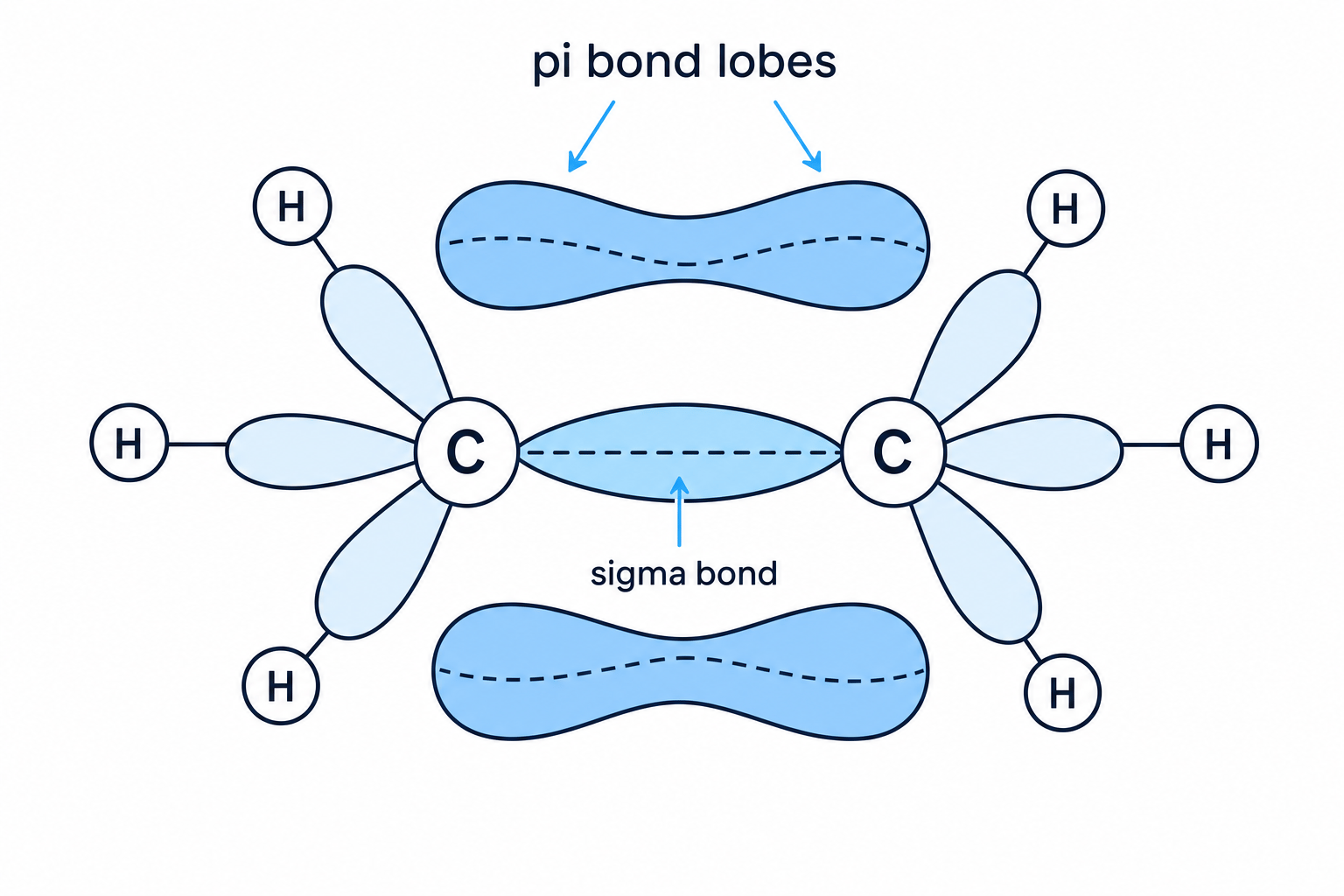 Orbital overlap in alkenes showing sigma and pi bonds