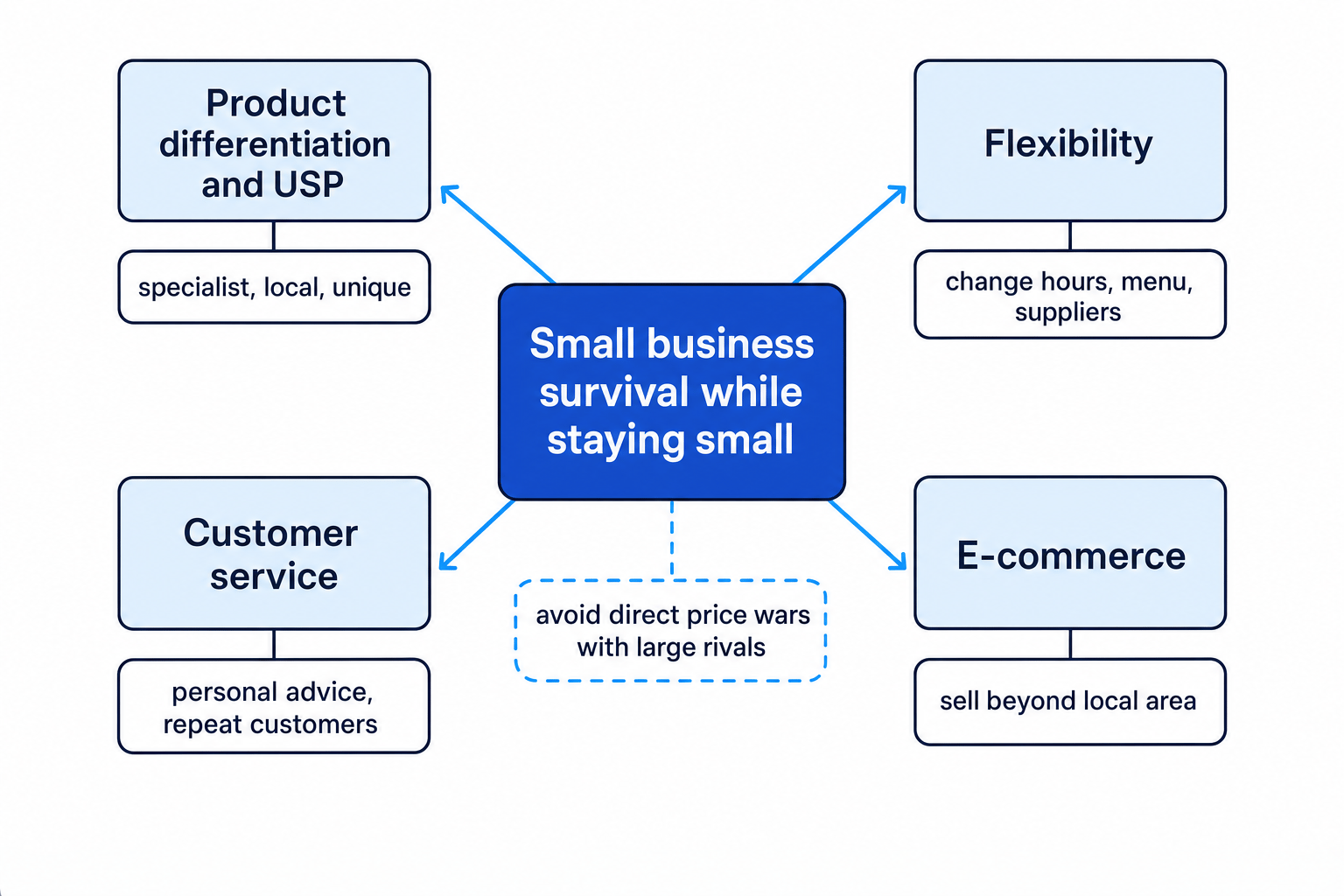 Map of small business survival routes linking staying small to product differentiation and USP, flexibility, customer service, and e-commerce