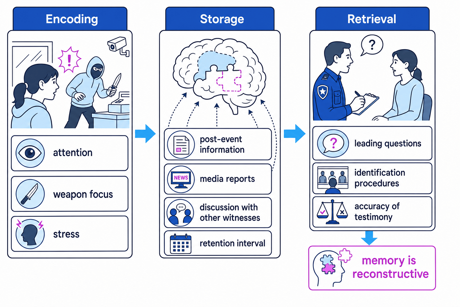 Flowchart showing encoding, storage and retrieval stages of eye-witness testimony, with weapon focus and stress at encoding, post-event information and retention interval at storage, and leading questions and identification procedures at retrieval
