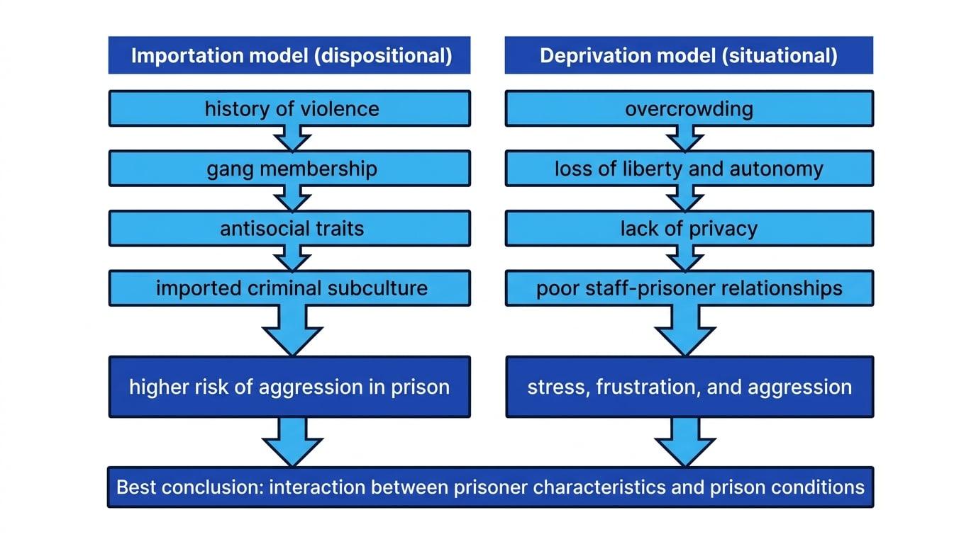 Comparison diagram of importation and deprivation pathways to prison aggression, with imported traits on the left and overcrowding and loss of autonomy on the right, ending in an interactionist conclusion