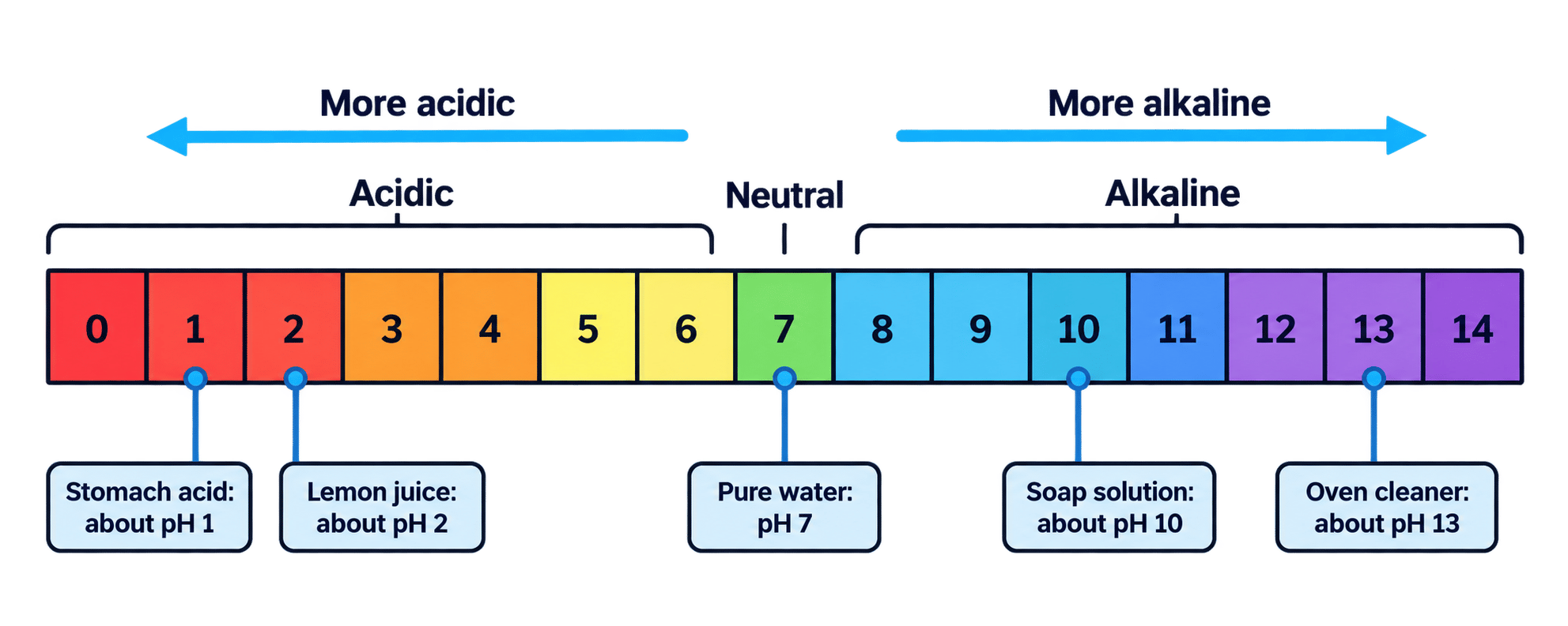 The pH scale from 0 to 14, with acidic values below 7, neutral at 7 and alkaline values above 7. Examples include stomach acid at about pH 1, lemon juice at about pH 2, pure water at pH 7, soap solution at about pH 10 and oven cleaner at about pH 13.