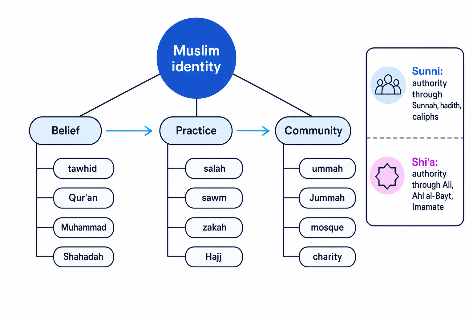 Concept map of Muslim identity moving from belief to practice to community, with shared foundations and Sunni and Shi'a authority compared