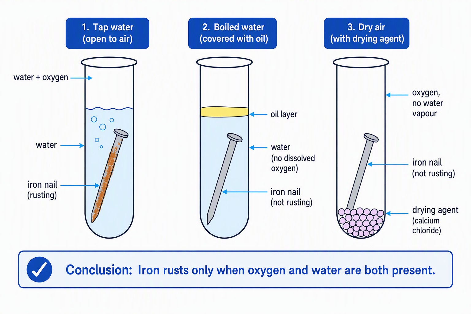 Three iron nails showing that rusting requires both oxygen and water