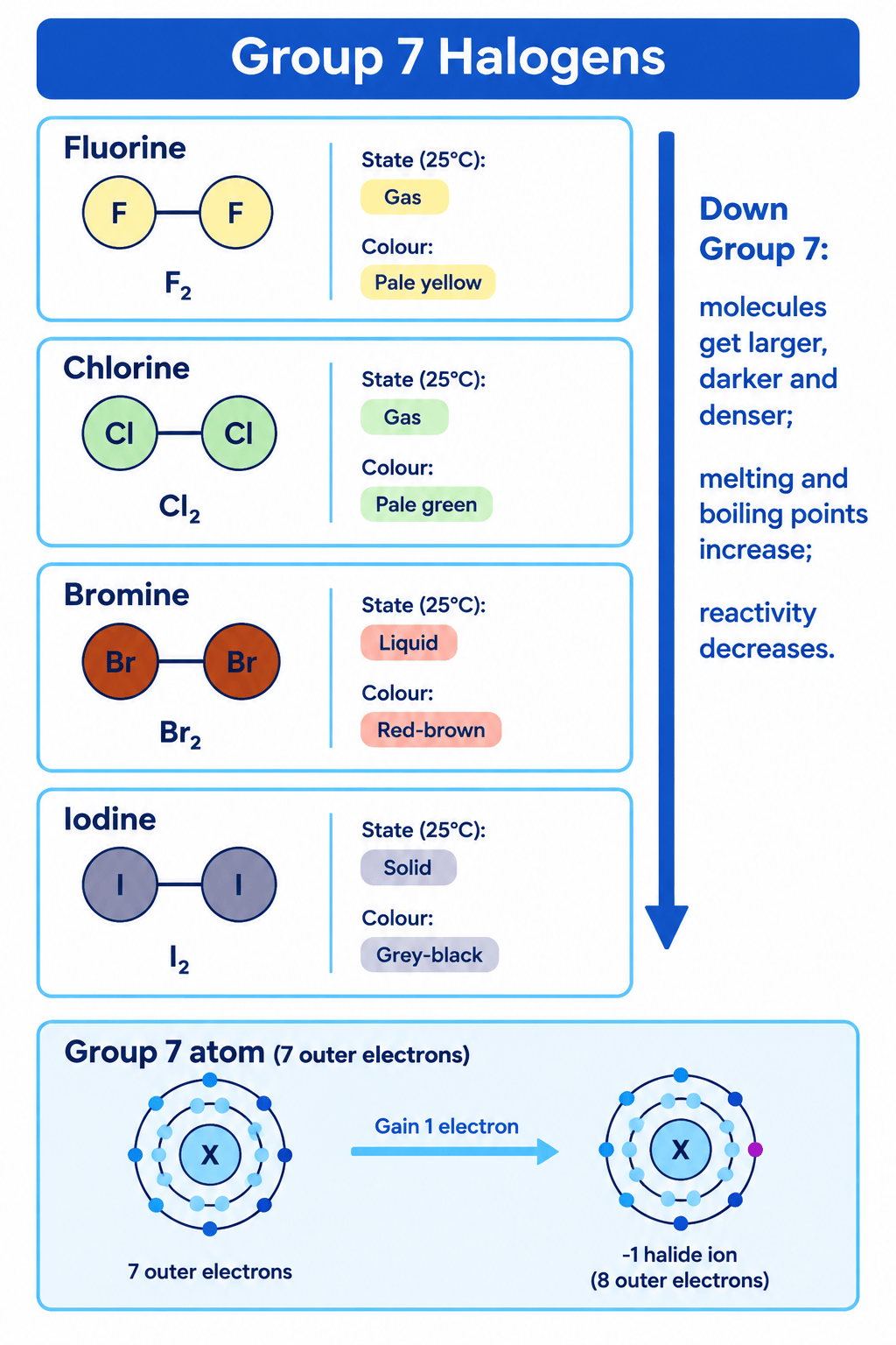 Group 7 halogens showing formulas, colours, states, trends and electron gain