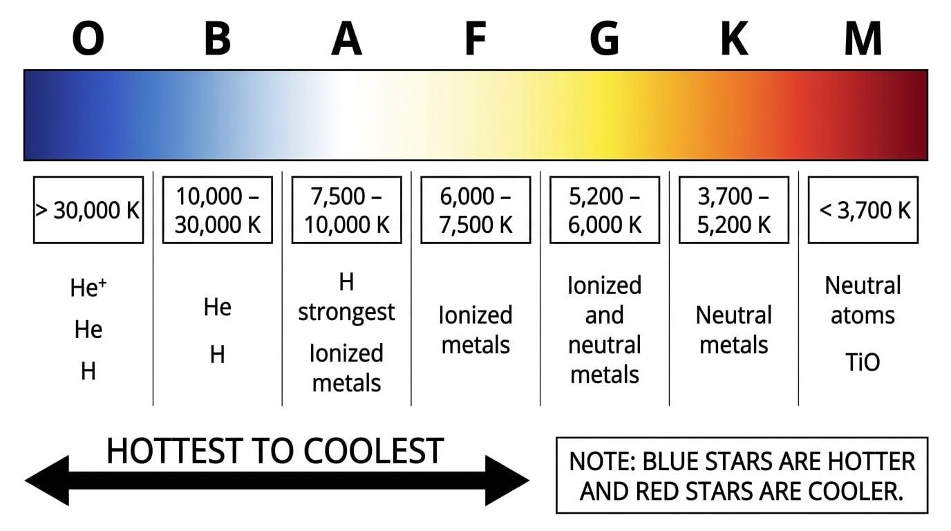 Infographic of the stellar spectral sequence O B A F G K M from hottest to coolest, with colour change from blue to red, temperature ranges, and key absorption features labelled