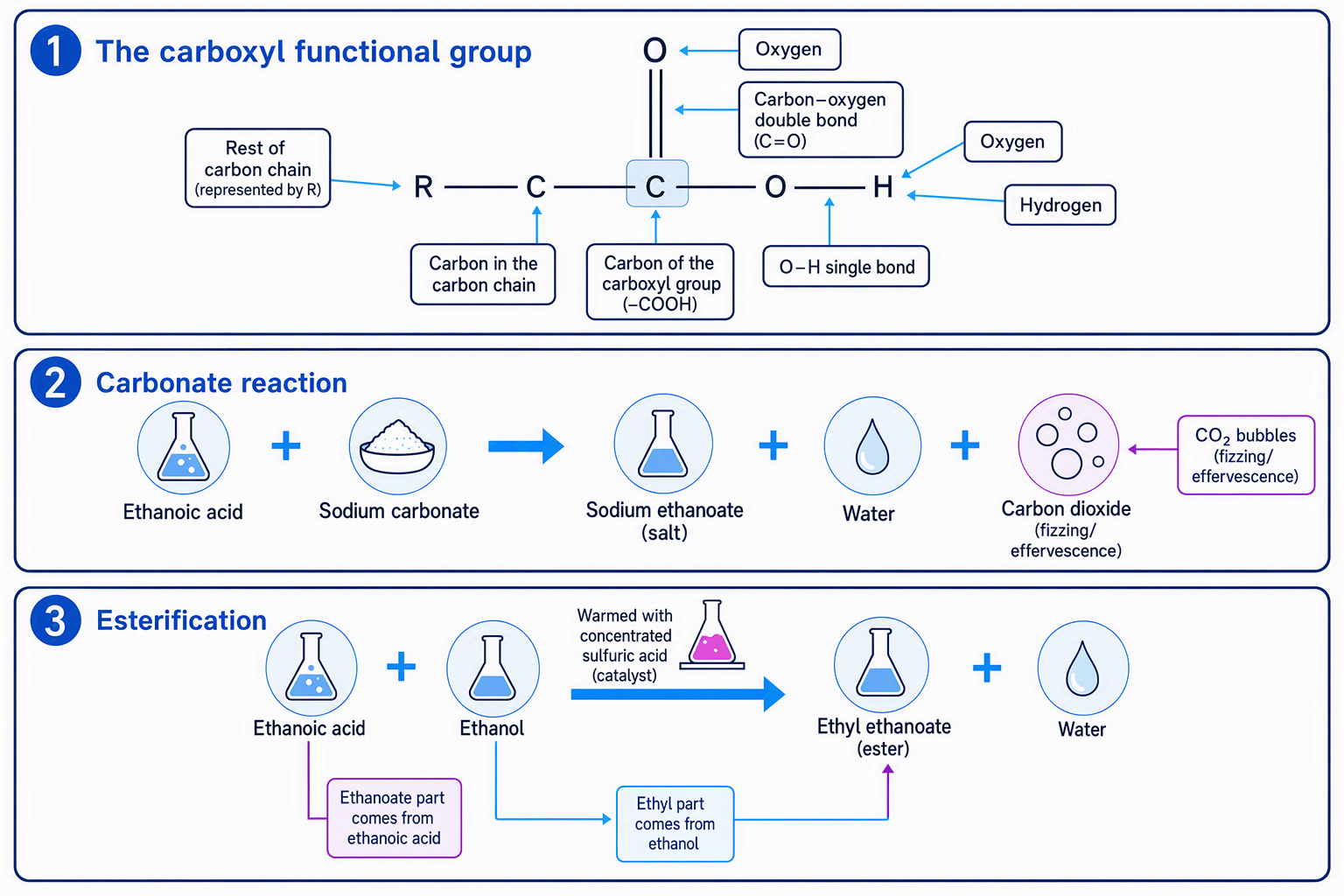 Diagram showing the carboxyl group and the carbonate and esterification reactions