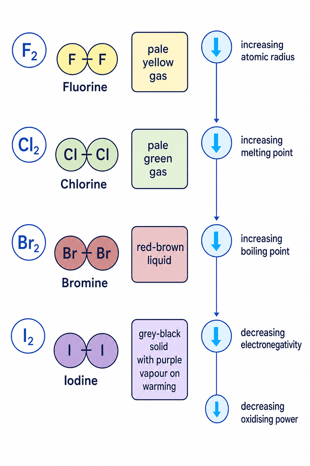 Summary diagram of fluorine, chlorine, bromine and iodine showing room-temperature states and trend arrows down Group 7