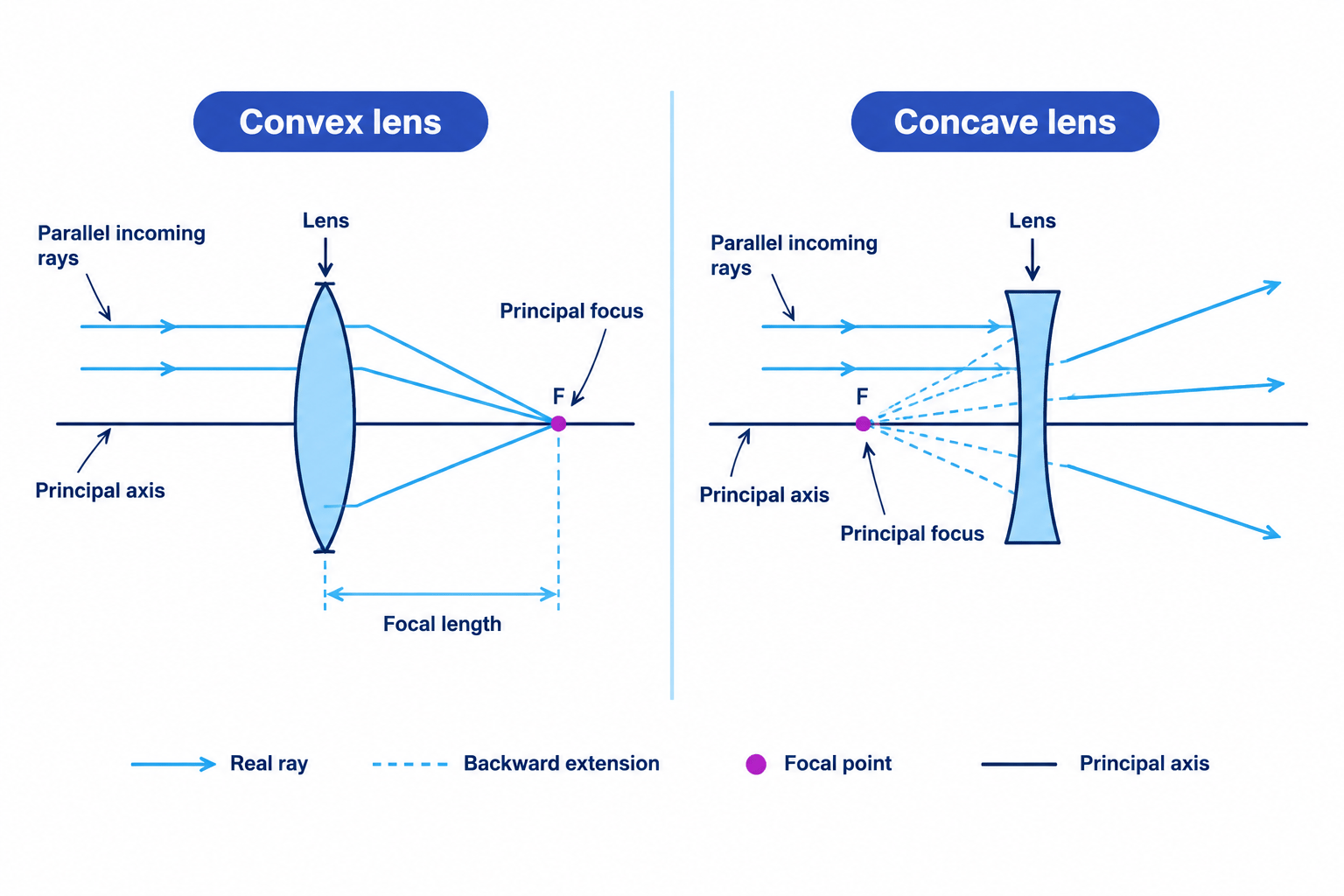 Convex and concave lens ray diagrams showing convergence, divergence, principal focus, and focal length