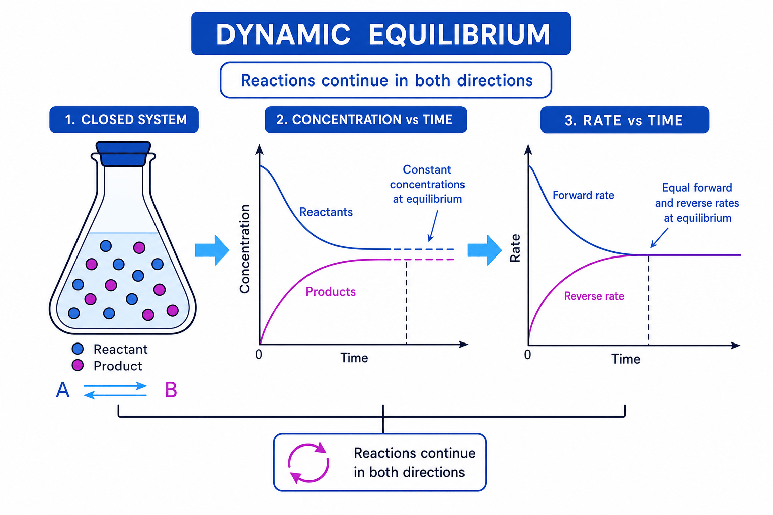 Dynamic equilibrium in a sealed flask with concentration-time and rate-time graphs showing constant concentrations and equal forward and reverse rates at equilibrium