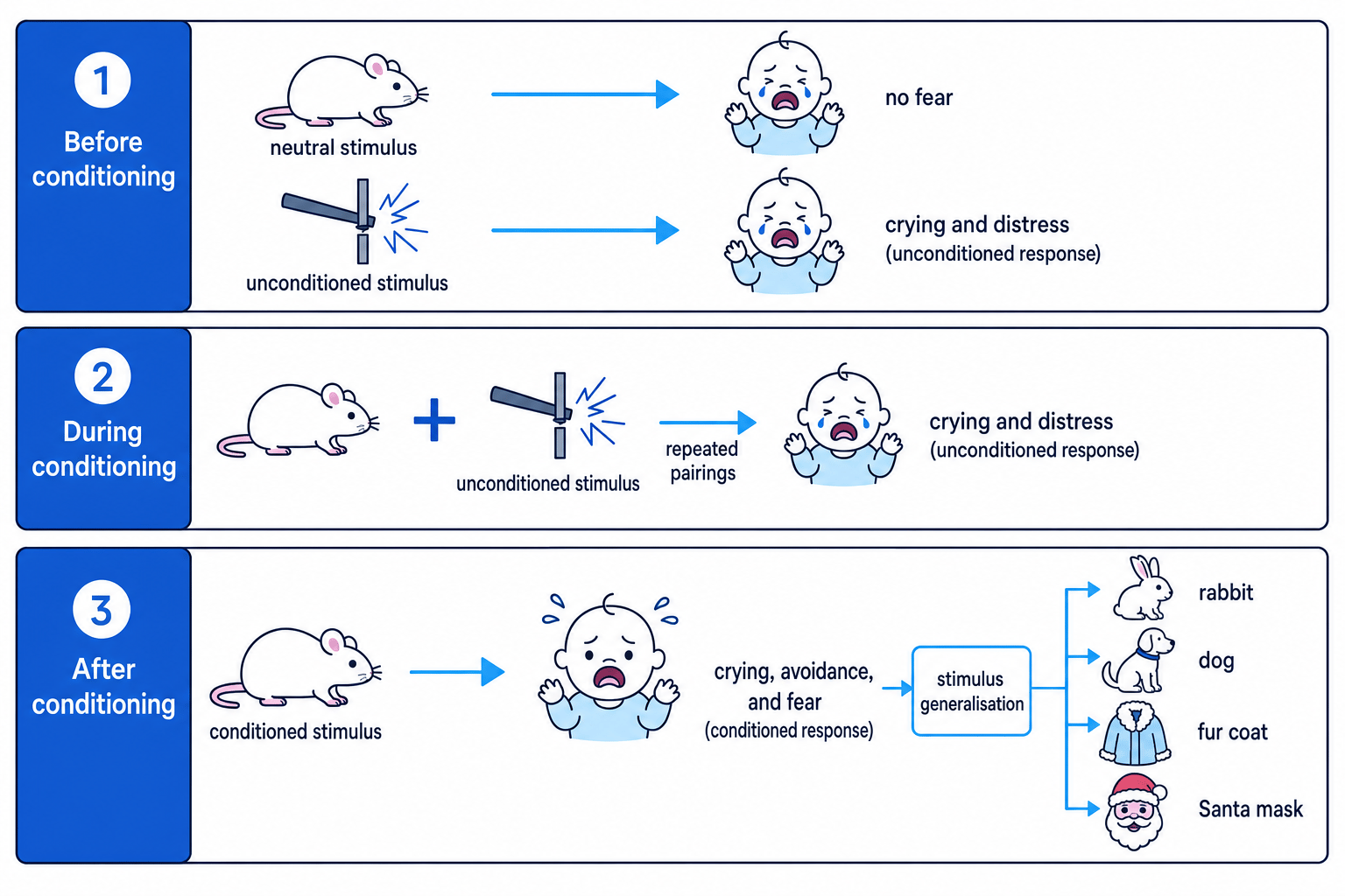 Flow diagram of Little Albert before, during, and after conditioning, showing the rat, loud noise, fear response, and generalisation to similar objects