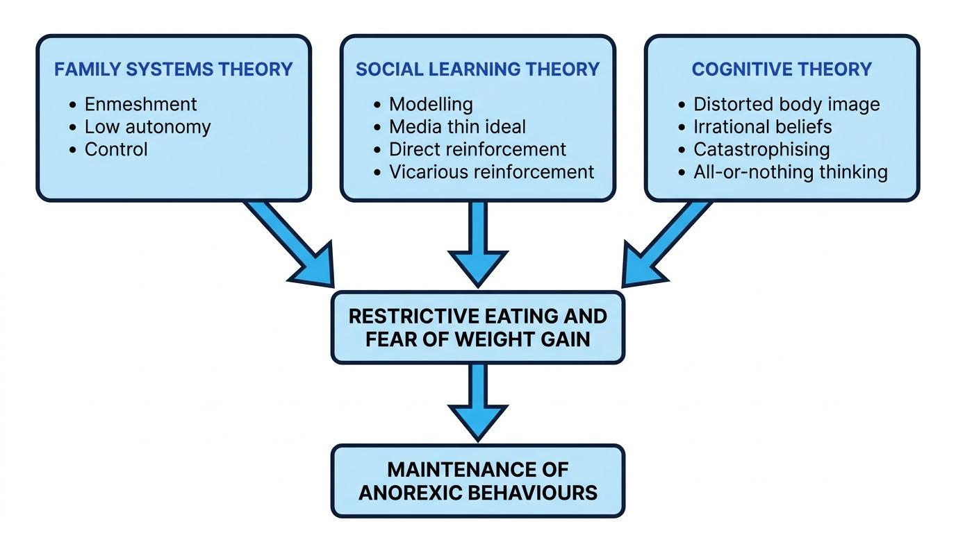 Flowchart comparing family systems theory, social learning theory and cognitive theory as routes into restrictive eating and maintenance of anorexic behaviours