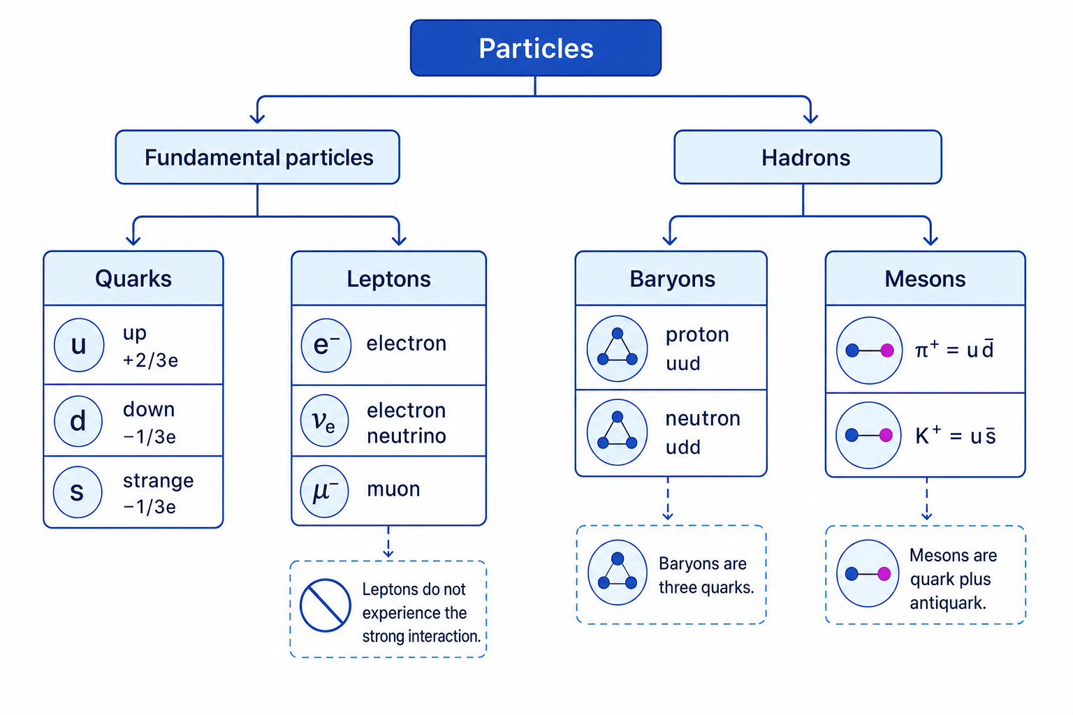 Particle classification diagram showing fundamental particles as quarks and leptons, and hadrons as baryons and mesons with example quark contents