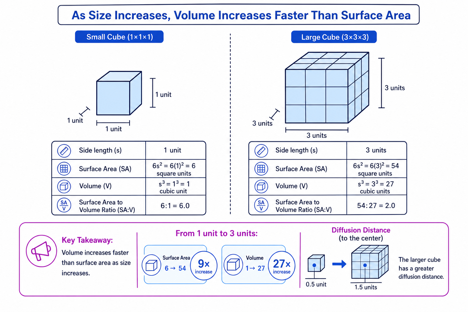 Diagram comparing small and large cubes to show that volume increases faster than surface area, lowering surface area to volume ratio