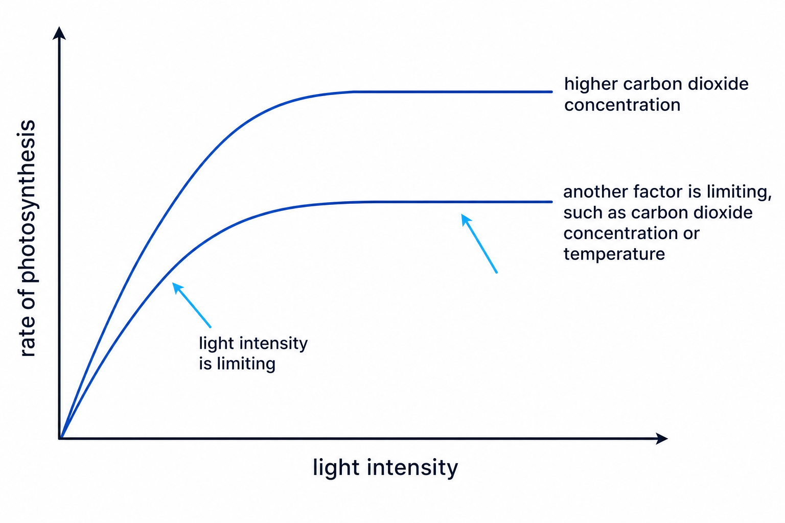 Graph showing rate of photosynthesis against light intensity with limiting factor labels