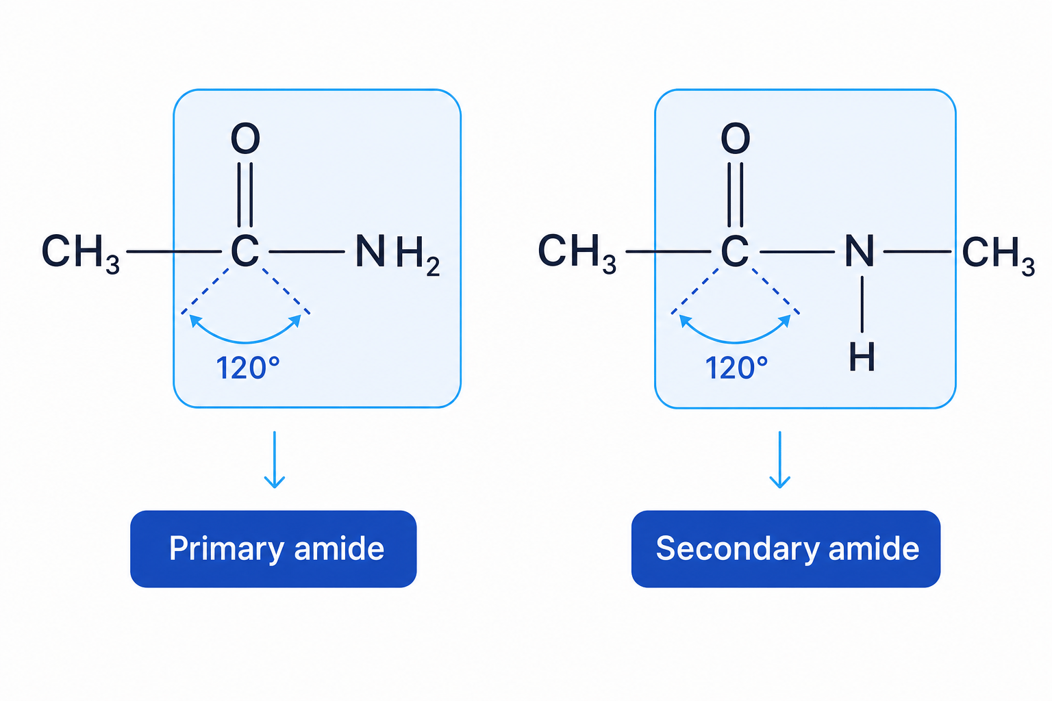 Structures of primary and secondary amides