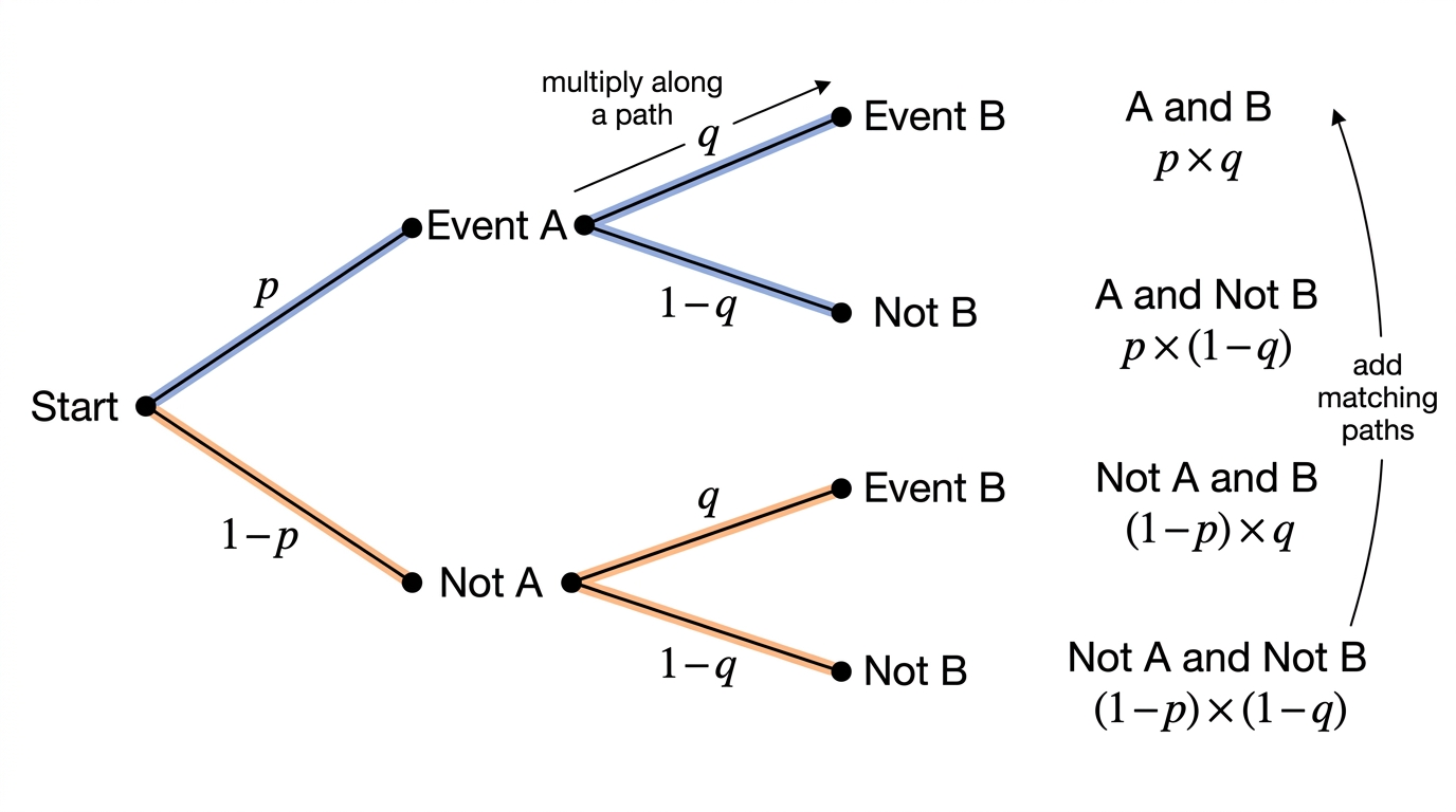 A labelled two-stage probability tree showing multiply along paths and add matching paths