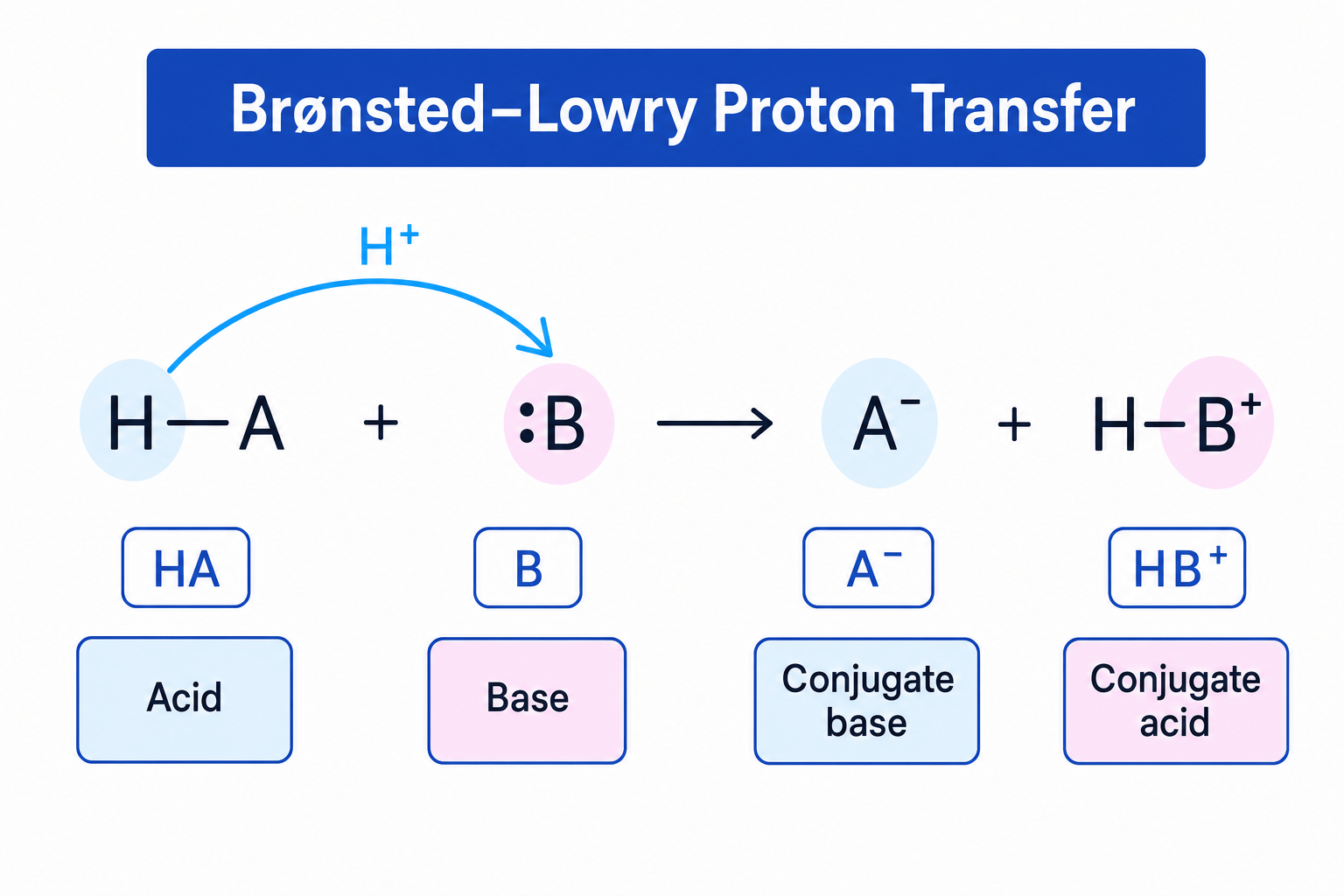 Brønsted-Lowry Proton Transfer