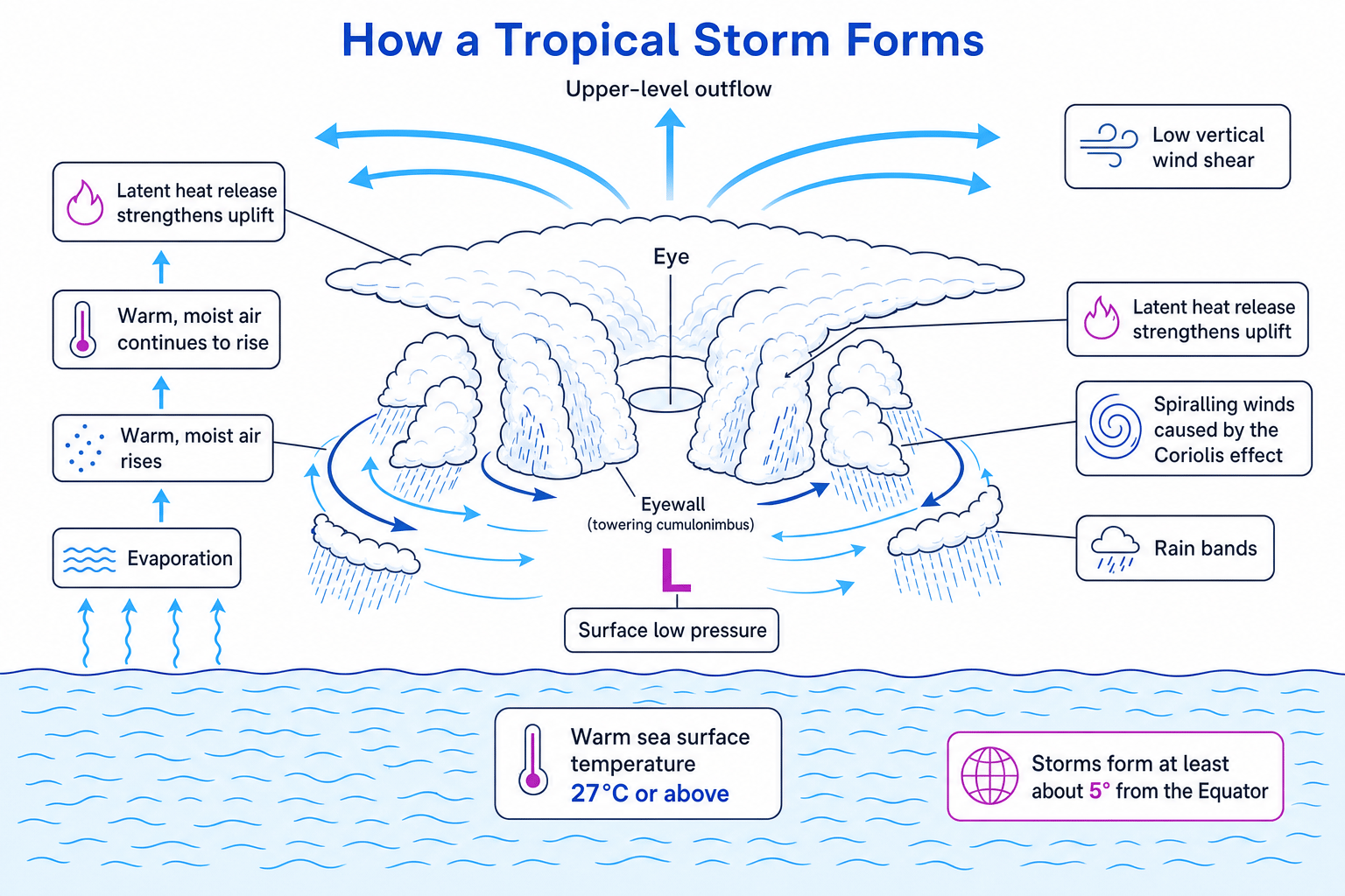 Diagram of tropical storm formation showing warm ocean water, evaporation, low pressure, Coriolis effect, eye, eyewall and rain bands