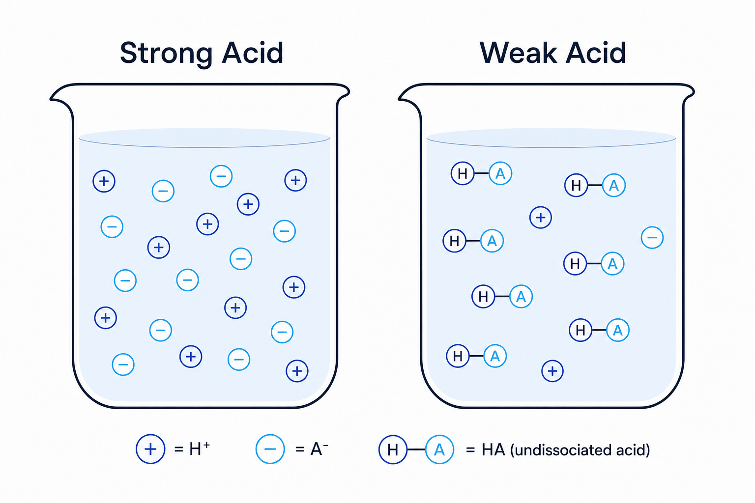 Strong vs Weak Acid comparison