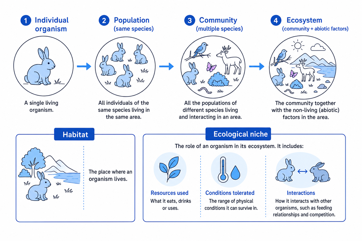 Ecological organisation from individual to ecosystem, with habitat and niche labels