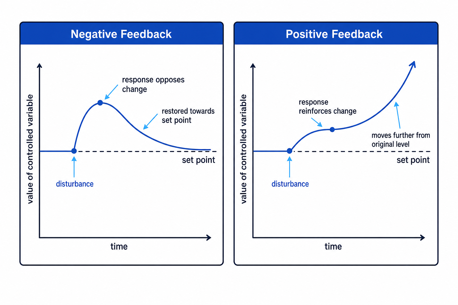 Two-panel graph comparing negative feedback returning a controlled variable towards the set point and positive feedback moving it further away