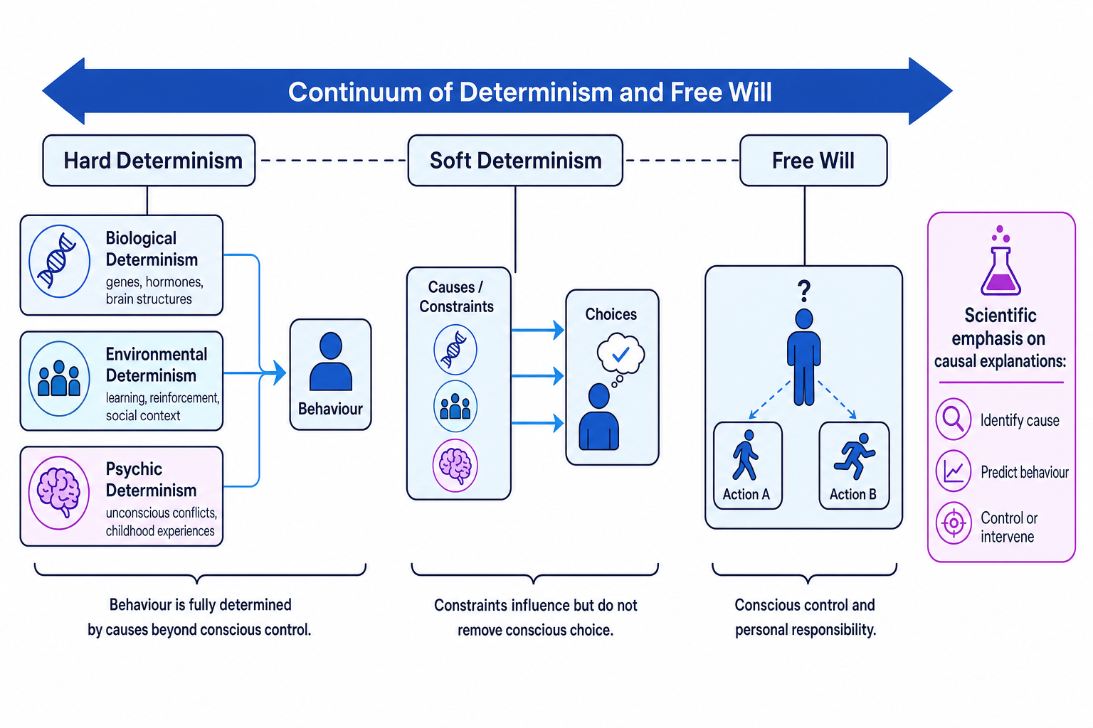 Continuum showing hard determinism, soft determinism, free will, and biological, environmental and psychic causes