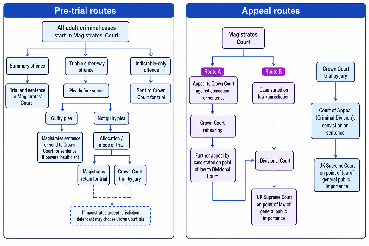 Diagram showing criminal pre-trial routes and appeal routes