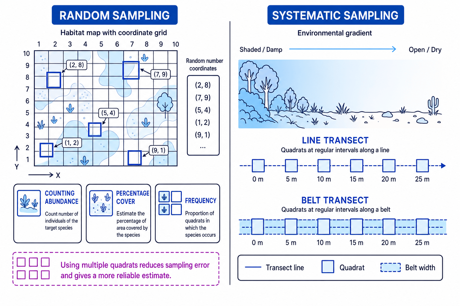 Random quadrat sampling and systematic transect sampling across an environmental gradient