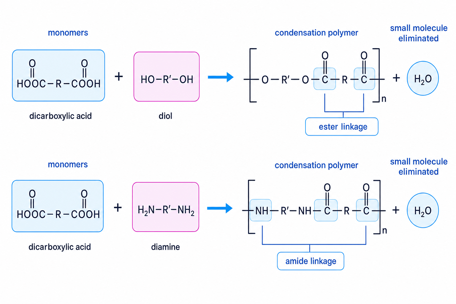 Schematic showing condensation polymerisation to form polyesters and polyamides