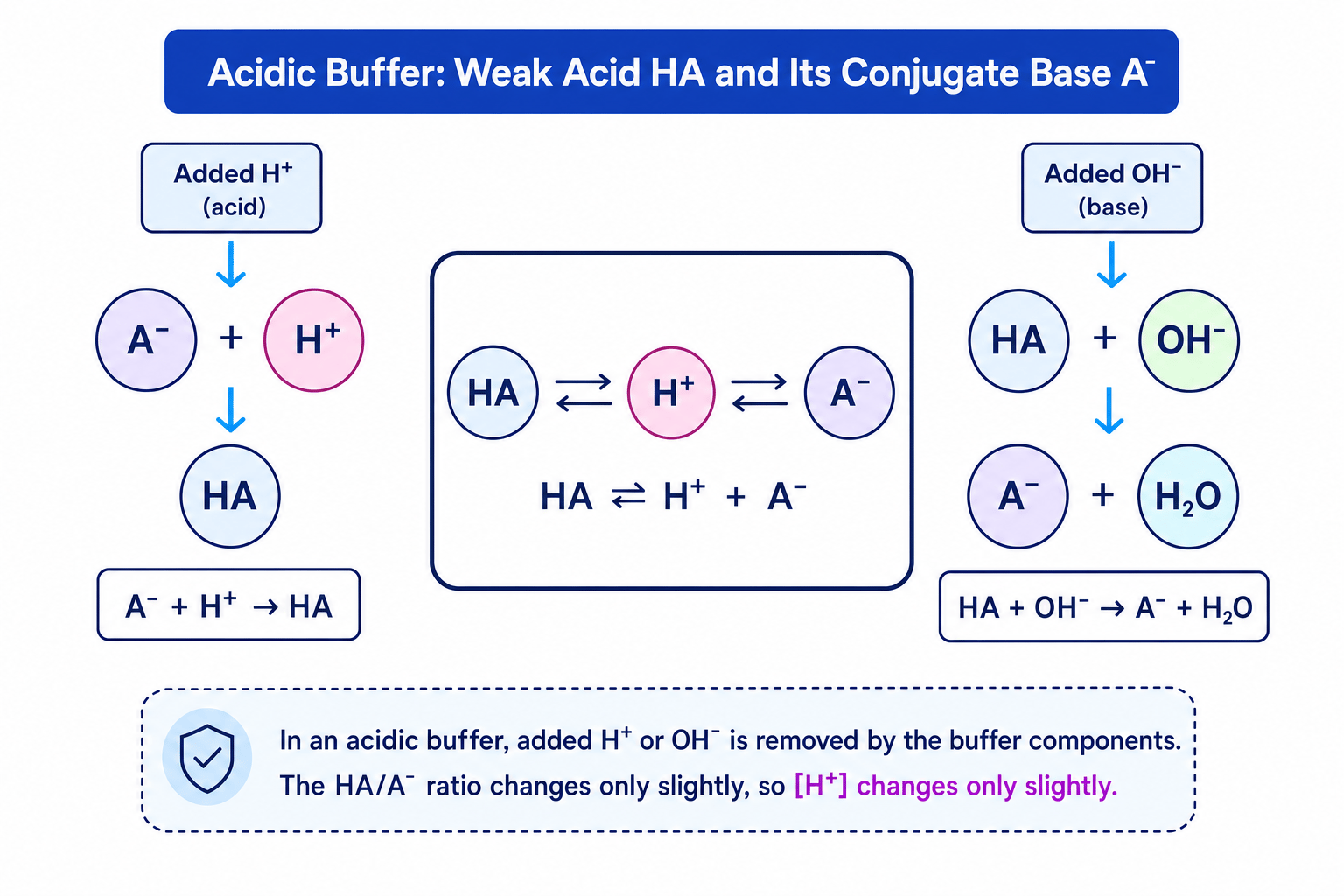 Diagram showing how an acidic buffer removes added hydrogen ions and hydroxide ions