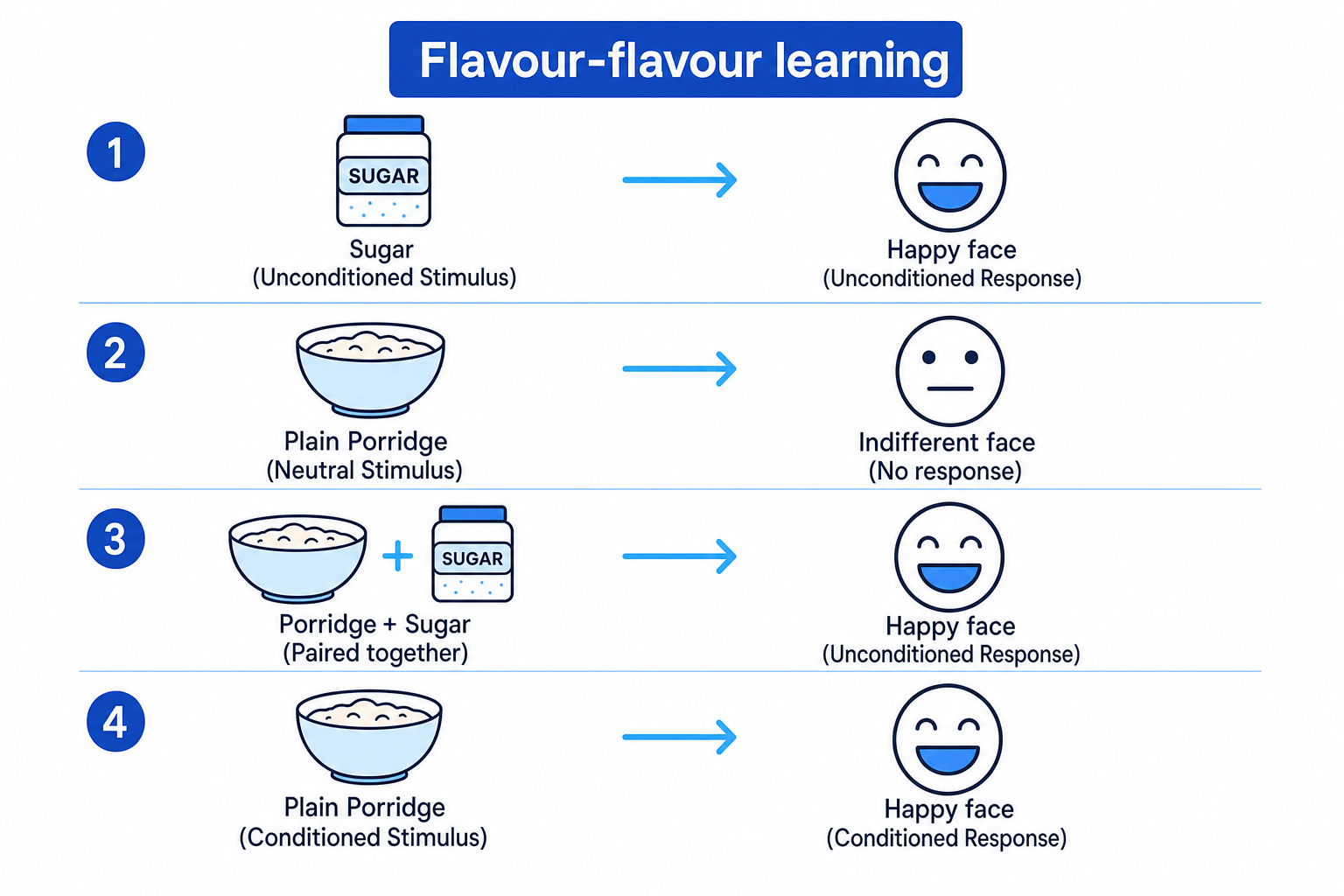 Flavour-flavour learning process