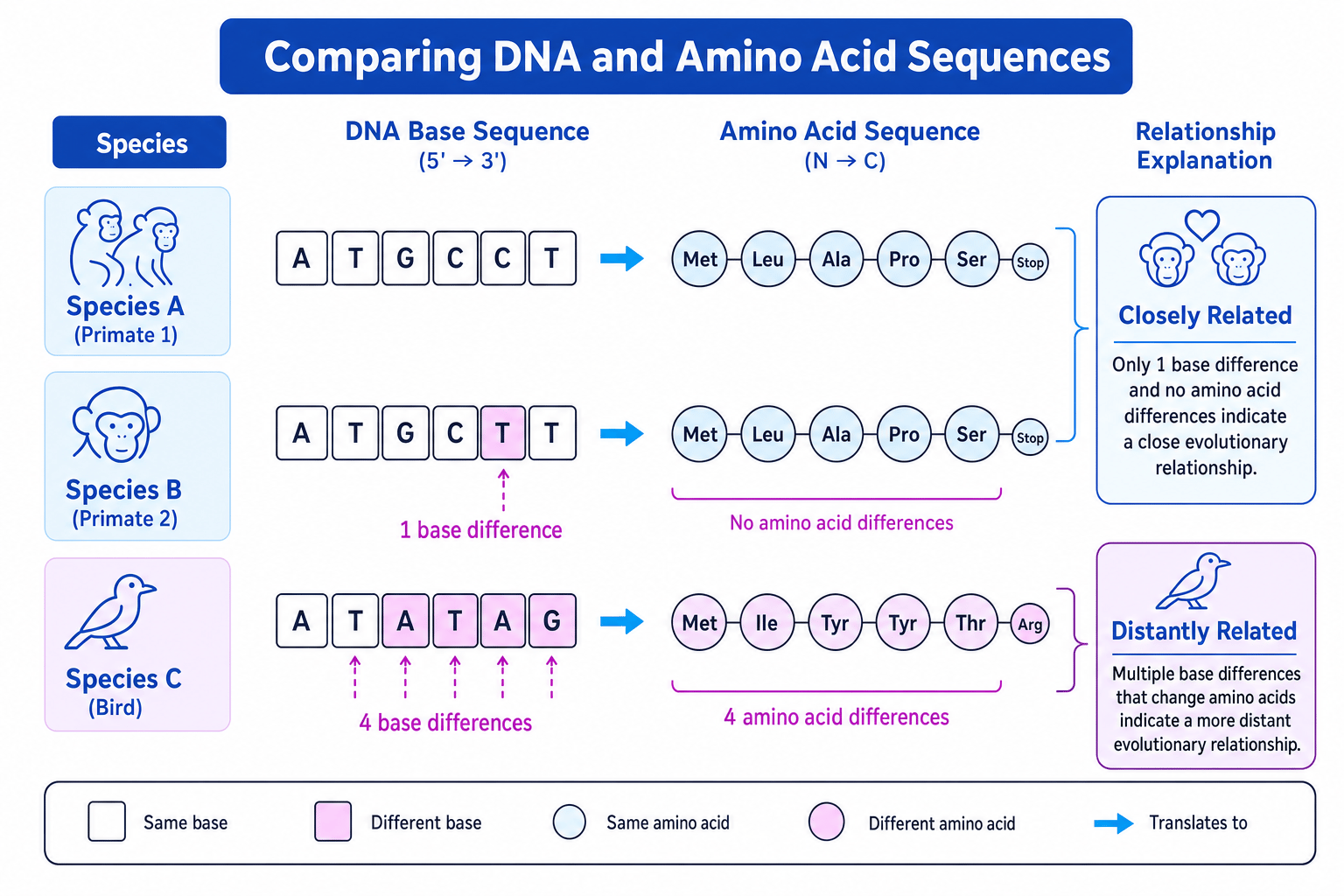 Comparing sequences