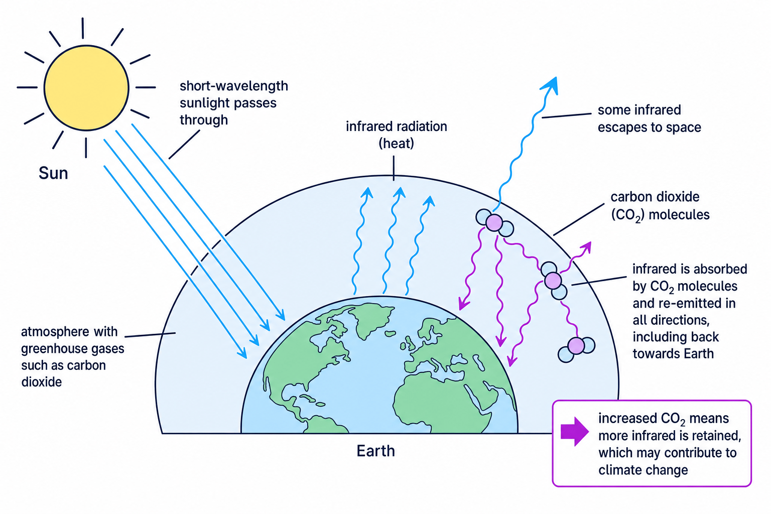 Diagram of the greenhouse effect showing carbon dioxide absorbing and re-emitting infrared radiation