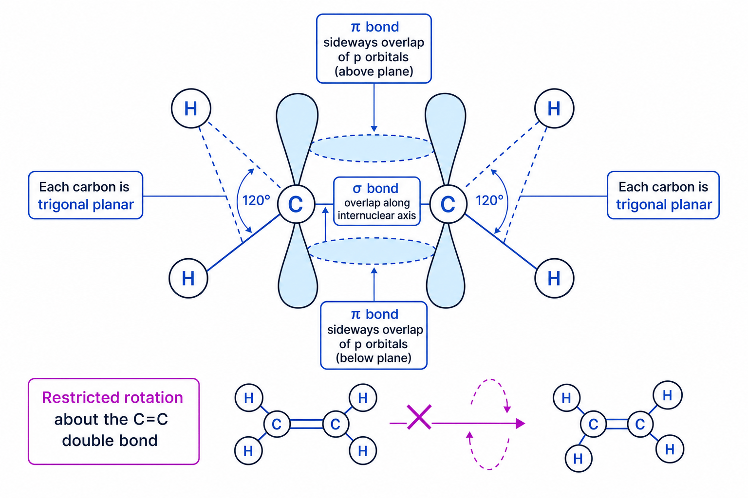 Ethene sigma and pi bonding with restricted rotation