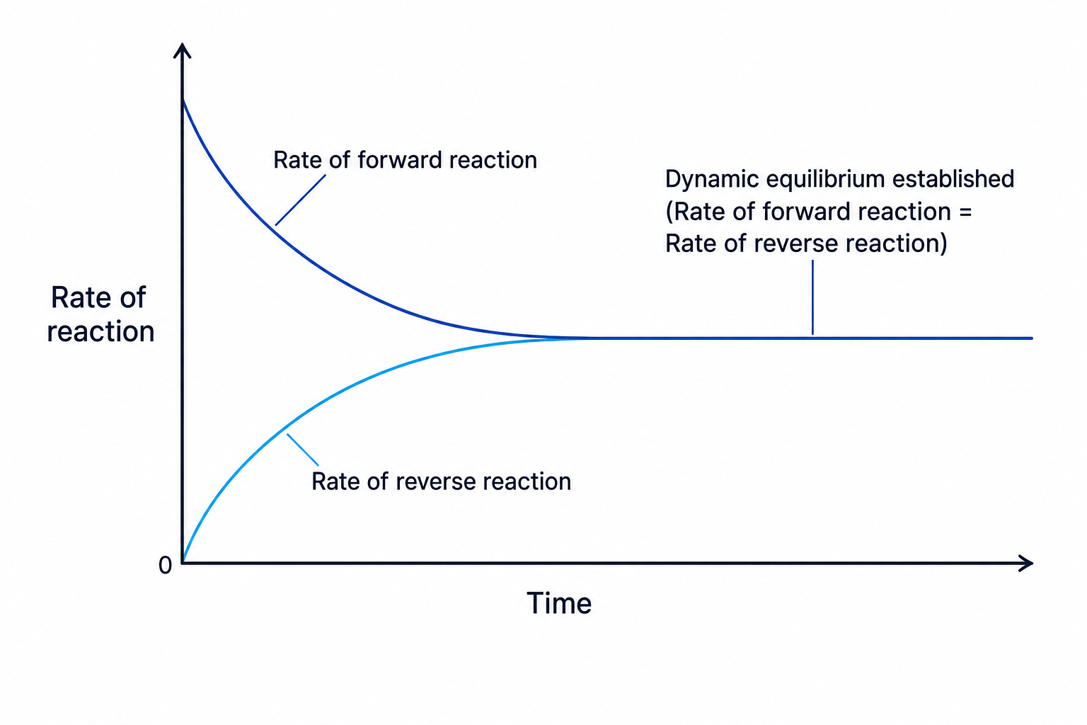 Rates of reaction over time establishing equilibrium